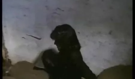 پاک کننده خوابگاه با موفقیت در حین هیجان بازدید کننده دانلود سکس 18 نزدیک شد