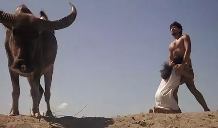 جوجه پرانرژی در سکس منفی 18 جوراب مش مشبک مانند دیوانه ایستاده است