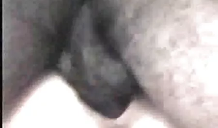 تاکسیرانی مسافر شلوغ را ترغیب کرد که کرایه دانلود لینک کانال های سکسی تلگرام کرایه را در نوع خود بپردازد